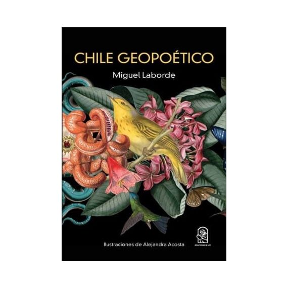 CHILE GEOPOÉTICO